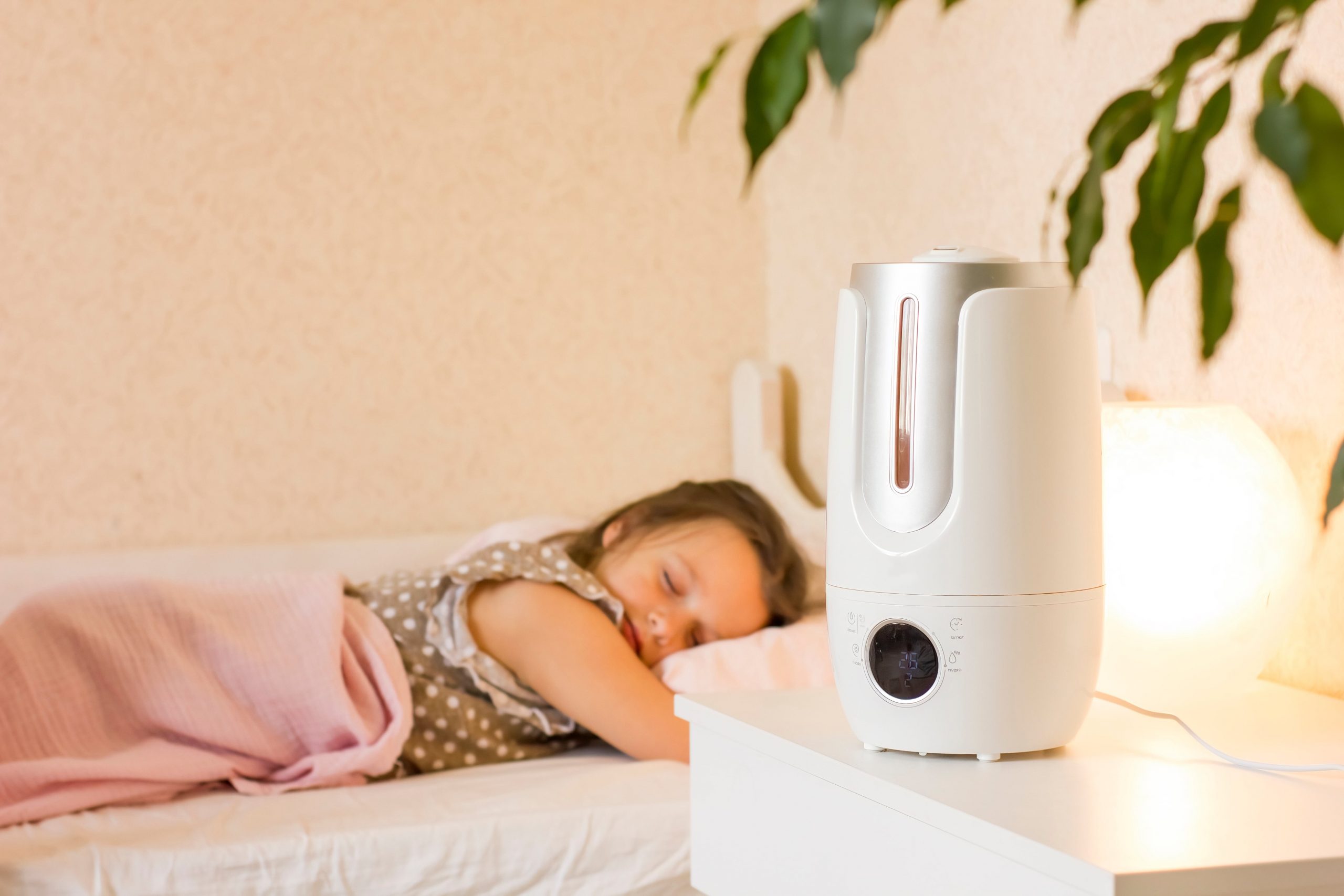 Benefits of Air Humidifier in Your Home